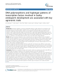 báo cáo khoa học: "  DNA polymorphisms and haplotype patterns of transcription factors involved in barley endosperm development are associated with key agronomic traits"