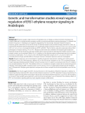 báo cáo khoa học: " Genetic and transformation studies reveal negative regulation of ERS1 ethylene receptor signaling in Arabidopsis"