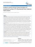 báo cáo khoa học: "  Isolation and functional characterization of Lycopene β-cyclase (CYC-B) promoter from Solanum habrochaites"