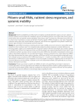 báo cáo khoa học: " Phloem small RNAs, nutrient stress responses, and systemic mobility"