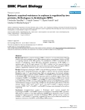 báo cáo khoa học: "  Systemic acquired resistance in soybean is regulated by two proteins, Orthologous to Arabidopsis NPR1"