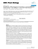 báo cáo khoa học: "  Identification of flowering genes in strawberry, a perennial SD plant"