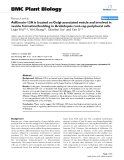 báo cáo khoa học: "  AtKinesin-13A is located on Golgi-associated vesicle and involved in vesicle formation/budding in Arabidopsis root-cap peripheral cells"