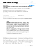 báo cáo khoa học: " Copia and Gypsy retrotransposons activity in sunflower (Helianthus annuus L.)"