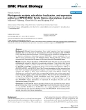 báo cáo khoa học: " Phylogenetic analysis, subcellular localization, and expression patterns of RPD3/HDA1 family histone deacetylases in plants"