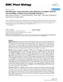 báo cáo khoa học: "  Identification, characterization and utilization of unigene derived microsatellite markers in tea (Camellia sinensis L.)"