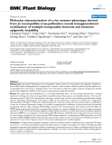 báo cáo khoa học: "  Molecular characterization of a rice mutator-phenotype derived from an incompatible cross-pollination reveals transgenerational mobilization of multiple transposable elements and extensive epigenetic instability"