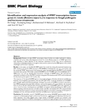 báo cáo khoa học: "  Identification and expression analysis of WRKY transcription factor genes in canola (Brassica napus L.) in response to fungal pathogens and hormone treatments"