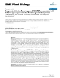 báo cáo khoa học: " Fragments of the key flowering gene GIGANTEA are associated with helitron-type sequences in the Pooideae grass Lolium perenne"