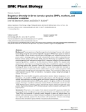 báo cáo khoa học: "  Sequence diversity in three tomato species: SNPs, markers, and molecular evolution"