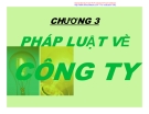 Bài giảng - Chương 3: Pháp luật về công ty