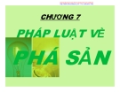 Chương 7: Pháp luật về phá sản