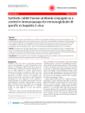 Báo cáo y học: "Synthetic rabbit-human antibody conjugate as a control in immunoassays for immunoglobulin M specific to hepatitis E virus"