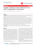 Báo cáo y học: "Caveolin-1 influences human influenza A virus (H1N1) multiplication in cell culture"