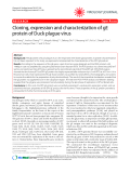 Báo cáo y học: "Cloning, expression and characterization of gE protein of Duck plague virus"