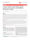 Báo cáo y học: " A mouse model to study infection against porcine circovirus type 2: viral distribution and lesions in mouse"