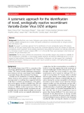 Báo cáo y học: "A systematic approach for the identification of novel, serologically reactive recombinant Varicella-Zoster Virus (VZV) antigens"