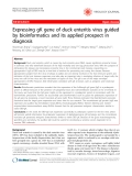 Báo cáo y học: "Expressing gK gene of duck enteritis virus guided by bioinformatics and its applied prospect in diagnosis"