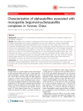 Báo cáo y học: "  Characterization of alphasatellites associated with monopartite begomovirus/betasatellite complexes in Yunnan, China"