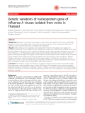 Báo cáo y học: "   Genetic variations of nucleoprotein gene of influenza A viruses isolated from swine in Thailand"