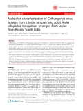 Báo cáo y học: "   Molecular characterization of Chikungunya virus isolates from clinical samples and adult Aedes albopictus mosquitoes emerged from larvae from Kerala, South India"