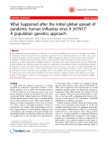 Báo cáo y học: "  What happened after the initial global spread of pandemic human influenza virus A (H1N1)? A population genetics approach"