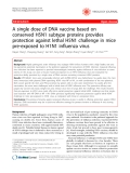 Báo cáo y học: "  A single dose of DNA vaccine based on conserved H5N1 subtype proteins provides protection against lethal H5N1 challenge in mice pre-exposed to H1N1 influenza virus"