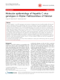 Báo cáo y học: "Molecular epidemiology of Hepatitis C virus genotypes in Khyber Pakhtoonkhaw of Pakistan"