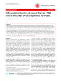 Báo cáo y học: " Differential replication of avian influenza H9N2 viruses in human alveolar epithelial A549 cells"