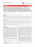 Báo cáo y học: " Monitoring human cytomegalovirus infection with nested PCR: comparison of positive rates in plasma and leukocytes and with quantitative PCR"