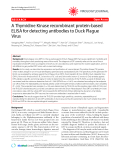 Báo cáo y học: " A Thymidine Kinase recombinant protein-based ELISA for detecting antibodies to Duck Plague Virus"