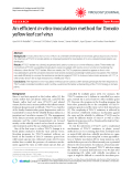 Báo cáo y học: "  An efficient in vitro-inoculation method for Tomato yellow leaf curl virus"