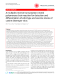 Báo cáo y học: "  A multiplex reverse transcription-nested polymerase chain reaction for detection and differentiation of wild-type and vaccine strains of canine distemper virus"