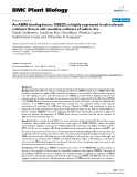 báo cáo khoa học: "  An ABRE-binding factor, OSBZ8, is highly expressed in salt tolerant cultivars than in salt sensitive cultivars of indica rice"