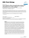 báo cáo khoa học: "  Lutein is needed for efficient chlorophyll triplet quenching in the major LHCII antenna complex of higher plants and effective photoprotection in vivo under strong light"