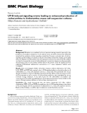 báo cáo khoa học: " UV-B-induced signaling events leading to enhanced-production of catharanthine in Catharanthus roseus cell suspension cultures"