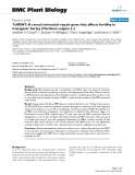 báo cáo khoa học: " TaMSH7: A cereal mismatch repair gene that affects fertility in transgenic barley (Hordeum vulgare L.)"