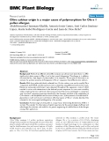 báo cáo khoa học: " Olive cultivar origin is a major cause of polymorphism for Ole e 1 pollen allergen"