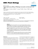 báo cáo khoa học: "  Transcriptional profiling of Medicago truncatula meristematic root cells"