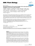 báo cáo khoa học: "  Spatial distribution of transcript changes in the maize primary root elongation zone at low water potential"