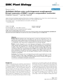 báo cáo khoa học: "  Arabidopsis thaliana outer ovule integument morphogenesis: Ectopic expression of KNAT1 reveals a compensation mechanism"