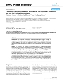 báo cáo khoa học: "  Ornithine-δ-aminotransferase is essential for Arginine Catabolism but not for Proline Biosynthesis"