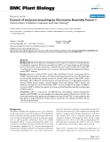 báo cáo khoa học: " Control of trichome branching by Chromatin Assembly Factor-1"