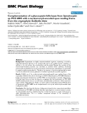 báo cáo khoa học: " Complementation of a phycocyanin-bilin lyase from Synechocystis sp. PCC 6803 with a nucleomorph-encoded open reading frame from the cryptophyte Guillardia theta"