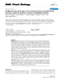 báo cáo khoa học: " Insight into the early steps of root hair formation revealed by the procuste1 cellulose synthase mutant of Arabidopsis thaliana"