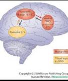 Nén trụ Neuropathies ở khuỷu tay