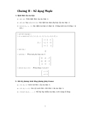 Chương 2: Sử dụng Maple