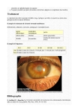 Maladies oculaires - part 9
