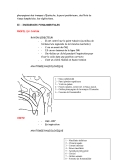 Techniques de manipulations en radiologie medicale - part 3