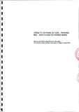 Báo cáo tài chính công ty cổ phần tư vấn thương mại , dịch vụ, địa ốc Hoàng Quân_Năm tài chính kết thúc ngày 31 tháng 12 năm 2010